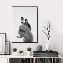 Load image into Gallery viewer, Canvas - Mini Donkey
