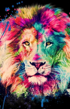 Load image into Gallery viewer, Canvas - Splash Lion
