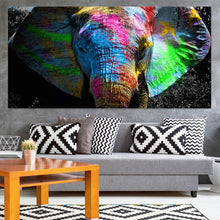 Load image into Gallery viewer, Canvas - Elephant Color Bomb

