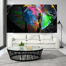 Load image into Gallery viewer, Canvas - Elephant Color Bomb

