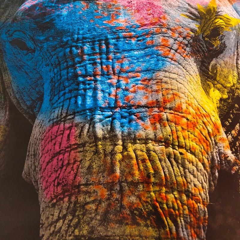 Canvas - Elephant Color Bomb