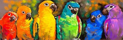 Canvas - Color Birds