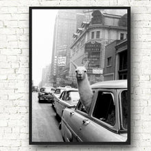 Load image into Gallery viewer, Canvas - Tourist
