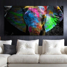 Load image into Gallery viewer, Canvas - Elephant Color Bomb
