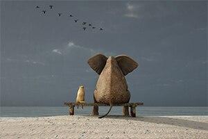 Canvas - Dog & Elephant