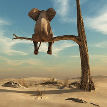Load image into Gallery viewer, Canvas - Funny Elephant
