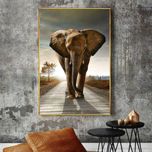 Load image into Gallery viewer, Canvas - Elephant Paradise
