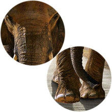 Load image into Gallery viewer, Canvas - Elephant Paradise
