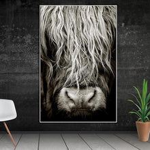 Load image into Gallery viewer, Canvas - Highland Hair
