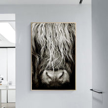 Load image into Gallery viewer, Canvas - Highland Hair
