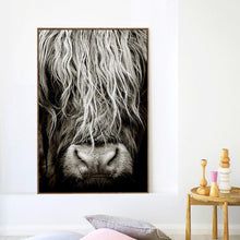 Load image into Gallery viewer, Canvas - Highland Hair
