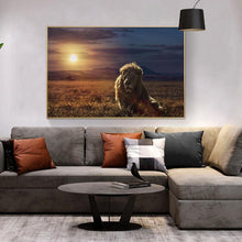 Load image into Gallery viewer, Canvas - Lion Sunrise
