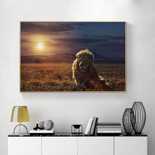 Load image into Gallery viewer, Canvas - Lion Sunrise
