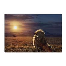 Load image into Gallery viewer, Canvas - Lion Sunrise
