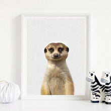 Load image into Gallery viewer, Canvas - Mangouste
