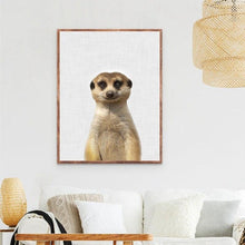 Load image into Gallery viewer, Canvas - Mangouste
