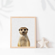 Load image into Gallery viewer, Canvas - Mangouste
