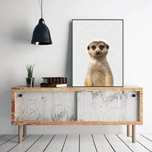 Load image into Gallery viewer, Canvas - Mangouste
