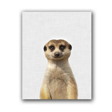 Load image into Gallery viewer, Canvas - Mangouste
