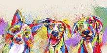 Load image into Gallery viewer, Canvas - Puppy Colors
