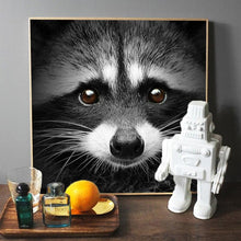Load image into Gallery viewer, Canvas - Racoon
