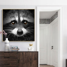 Load image into Gallery viewer, Canvas - Racoon
