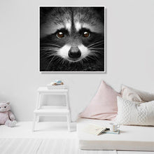 Load image into Gallery viewer, Canvas - Racoon
