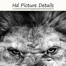 Load image into Gallery viewer, Canvas - Ferocious
