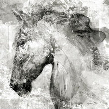 Load image into Gallery viewer, Canvas - Duplicity
