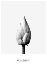 Load image into Gallery viewer, Canvas - Bonjour Paris
